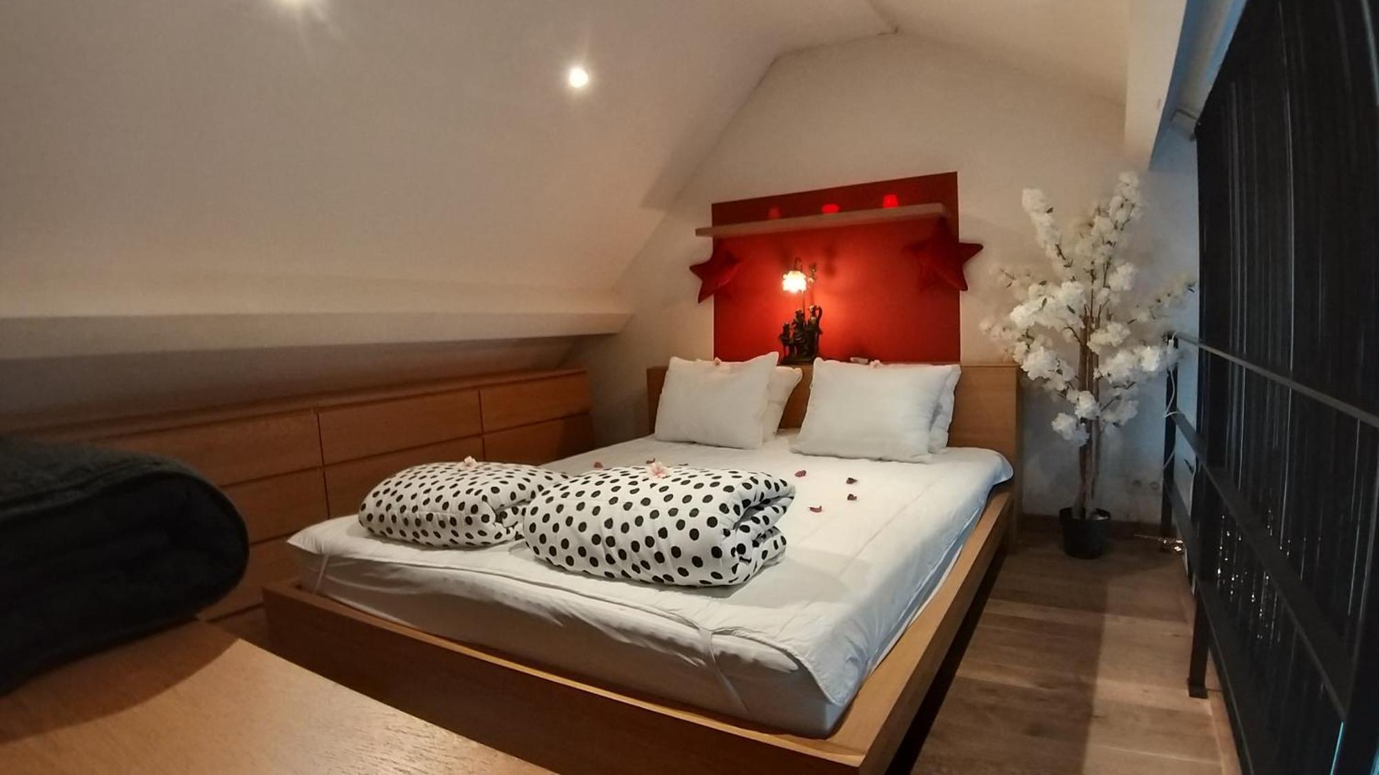 安特卫普Wellness Loft With Sauna, Jacuzzi, Roof Terrace & Amazing View公寓 外观 照片