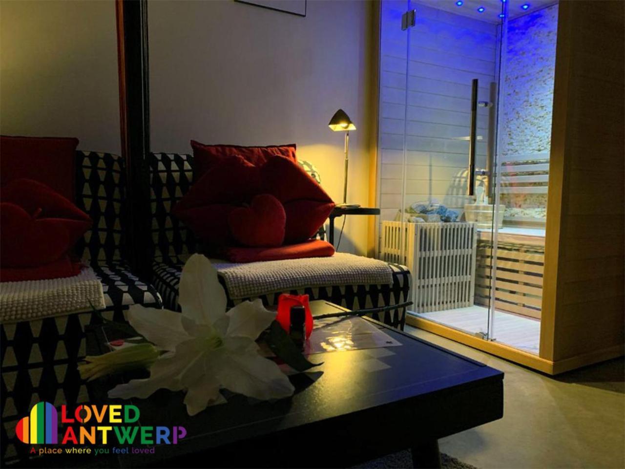 安特卫普Wellness Loft With Sauna, Jacuzzi, Roof Terrace & Amazing View公寓 外观 照片