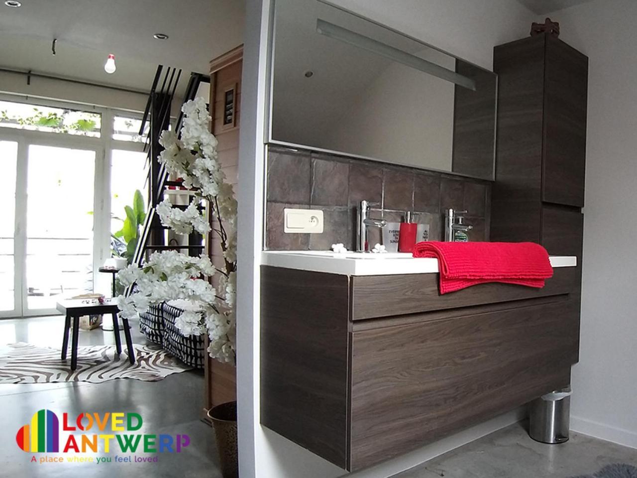 安特卫普Wellness Loft With Sauna, Jacuzzi, Roof Terrace & Amazing View公寓 外观 照片